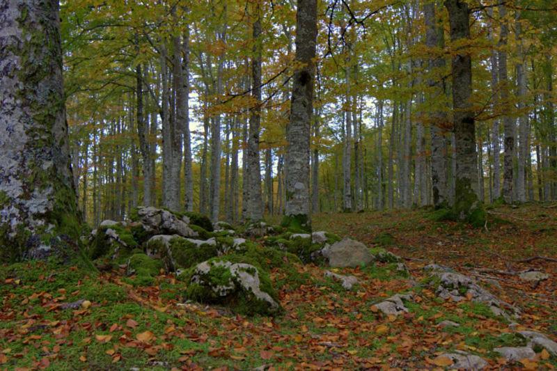 Hostal Rural Elosta Lekunberri Exteriér fotografie